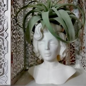 Marilyn Monroe Pot 3D Printed