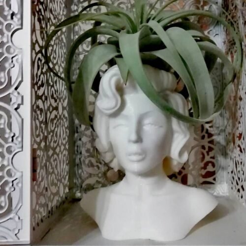 Marilyn Monroe Pot 3D Printed