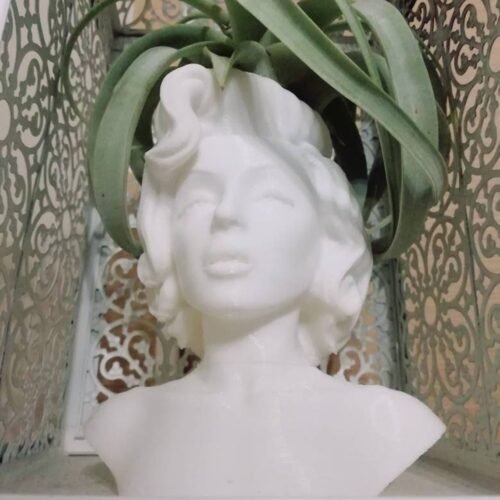 Marilyn Monroe Pot 3D Printed