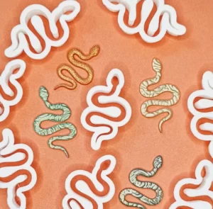 Snake Clay, Fondant, Cutter Mold