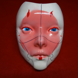 Geisha Japanese Woman Mask